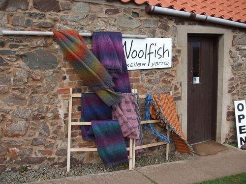 Woolfish