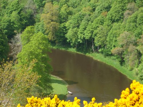 River Tweed