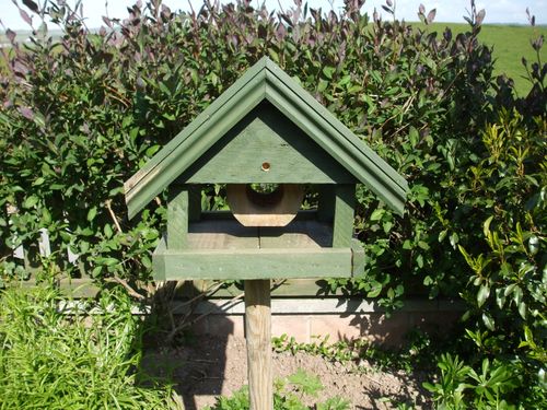 Peanut feeder