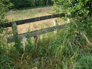 Old fence