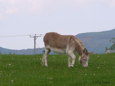 P1020442