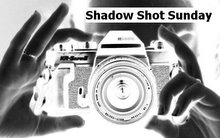 Shadow Shot Sunday logo1[1]
