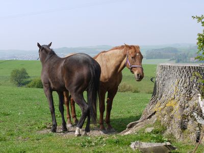 P1070037