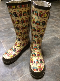 Owl  boots