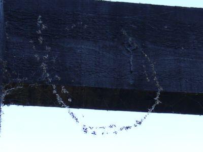 P1230890