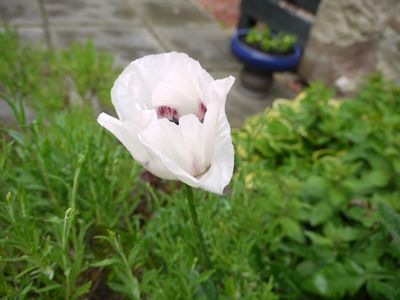 P1260256
