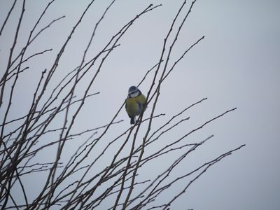 P1300048